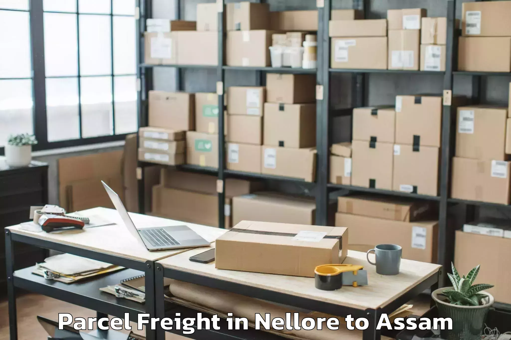 Professional Nellore to Tamulpur Parcel Freight